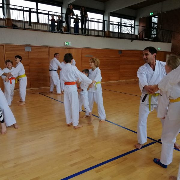 Lehr- und Erfahrungsaustausch Karatetraining 2019